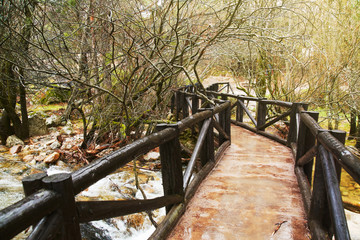 Fototapeta premium wooden bridge over the river, on forested