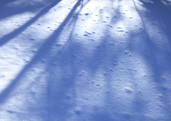 Fototapeta na wymiar 雪に落ちた木の影
