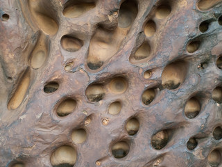 Stones with holes caused by water erosion.