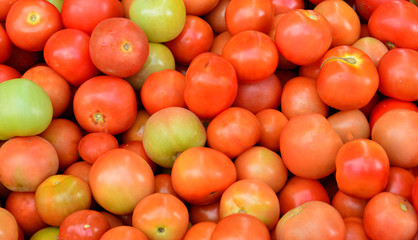 Red tomatoes background. 
