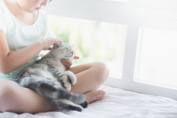 Beautiful asian girl playing with american shorthair cat on the bed