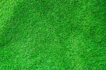 Plakat artificial grass