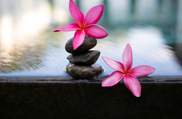 Fototapeta na wymiar Pink Frangipani flowers and wet black stones