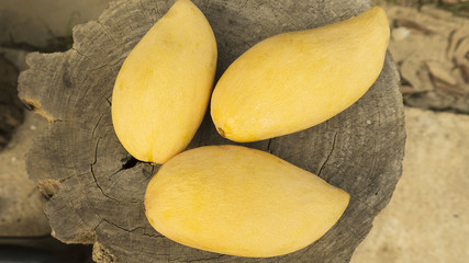 focus on  fresh mango with wood background