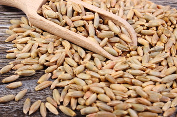 Rye grain with spoon on wooden background