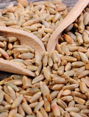 Rye grain with spoon on wooden background