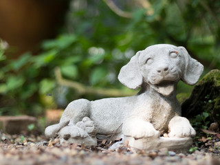 Obraz premium Smiling Stone Dog