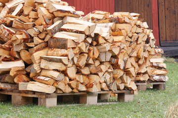 Large stack of birch firewood