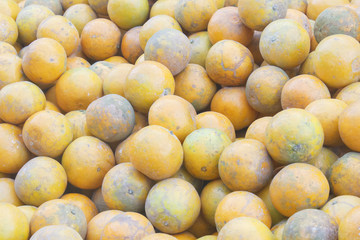 tangerine (orange) on sale in market