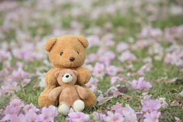 Brown Bear Texture background.