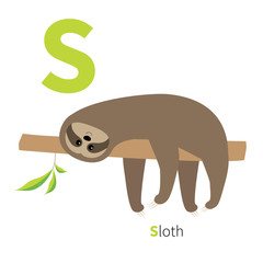 Letter S Sloth  English abc with animals Zoo alphabet. Education cards for kids Isolated White background Flat design