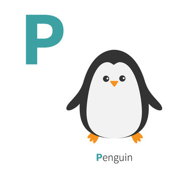 Letter P Penguin Zoo alphabet. English abc with animals Education cards for kids Isolated White background Flat design