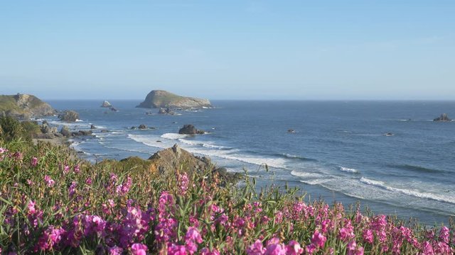 Locked down view of the rocky coastline in Brookings, Oregon.