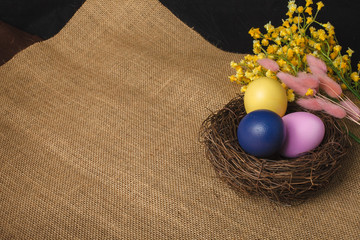 Easter eggs in the nest