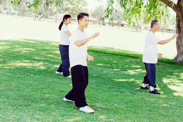 People practicing thai chi in park