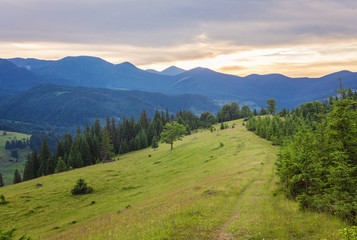 Summer landscape in mountains and the dark blue sky with clouds