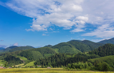 Fototapeta premium Idyllic landscape in the Alps with fresh green meadows and blooming flowers and snow-capped mountain tops in the background