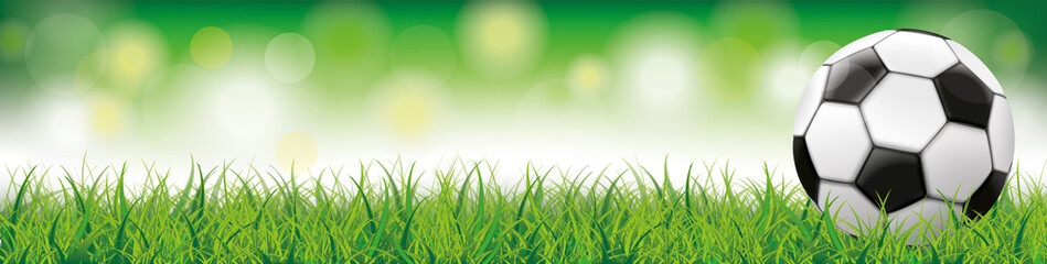 Fußball auf dem Rasen mit Stadionlichtern Header © Alexander Limbach