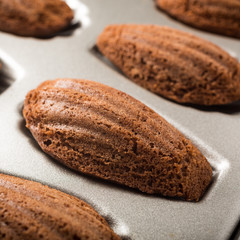 Chocolate madeleines cookies