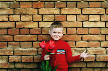 Little boy with bunch of red tulips looking at camera