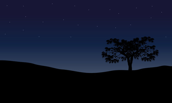 Tree in night scenery