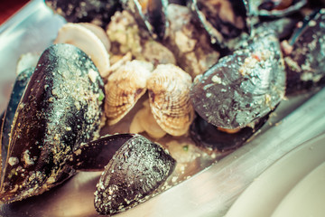Oysters mussels for dinner. / Peninsula Peljesac is well known place when you can eat delicious...