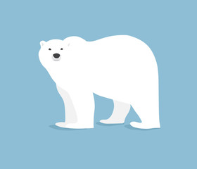 Polar bear hand drawn illustration, flat style