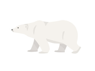 Polar bear hand drawn illustration, flat style