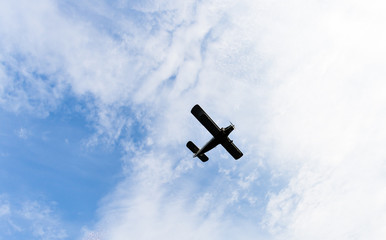 unusual planters. Toilets used to raise alpine plants