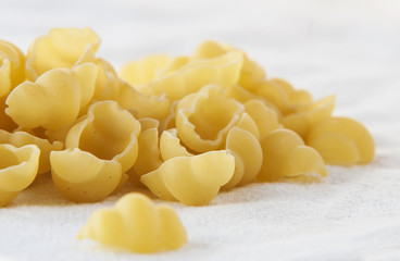 Shell Pasta