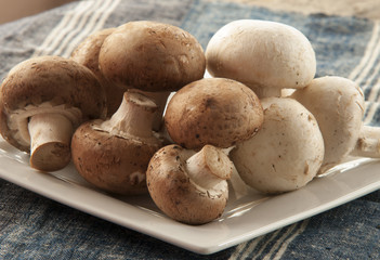 champignon mushroom
