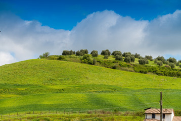 Colourful hills of Tuscany in spring season