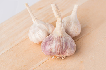 macro close up on white background