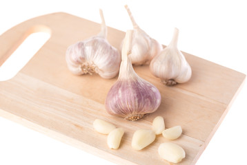 Group garlic on wood white background
