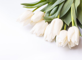 Fototapeta Bunch of white tulips on white background obraz