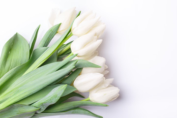 Fototapeta na wymiar Bunch of white tulips on white background