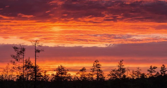 Time lapse of colourful sunset over marshland treeline