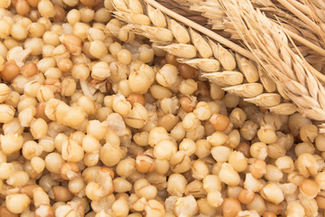Cooked wheat and ear of wheat