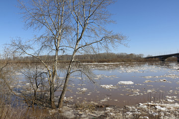 Ice drift and river in spring day