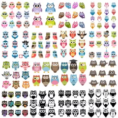 Printed roller blinds Owl Cartoons Big set of owls