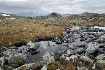 kungsleden lappland schweden nationalpark sweden nordic scenery 2