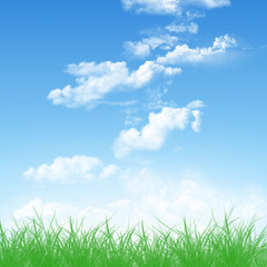 Fototapeta na wymiar clouds on the sky with green grass
