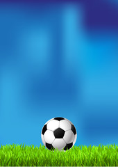 Fototapeta premium Piłka nożna