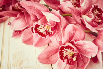 Orchid flowers