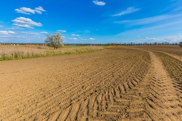 Spring plowed field under blue sky with clouds