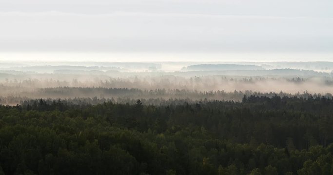 Time lapse of thick fog flowing over a forest covered valley