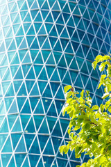 Skyscraper facade with green trees