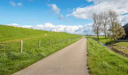 Fototapeta na wymiar Typical Dutch landscape in springtime
