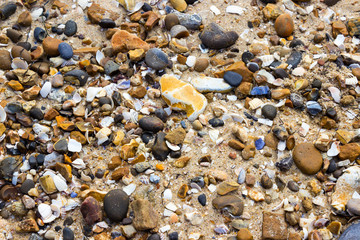 Beach with pebbles and shells