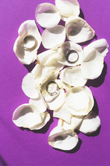 three rings on white petals, romantic set- minimal concept-
